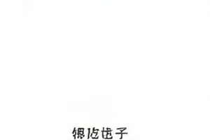 《双桅船》封面：港口停泊的双桅船与旧缆绳